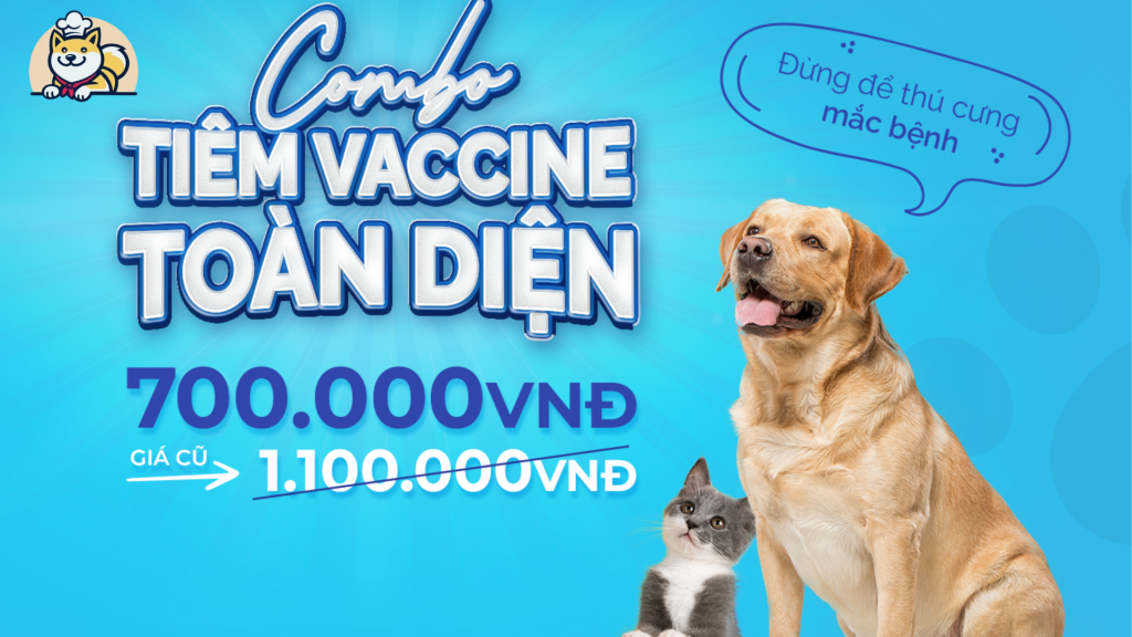 Sale Tiêm Phòng Thú Cưng: 1 Trình Tiêm Ngừa Cúm Trái Mùa Từ DogFood